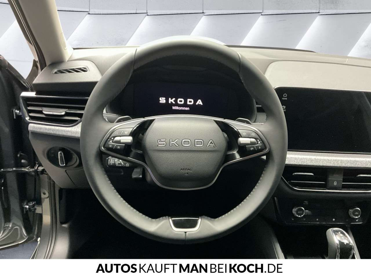Fahrzeugbild eines Skoda Kamiq