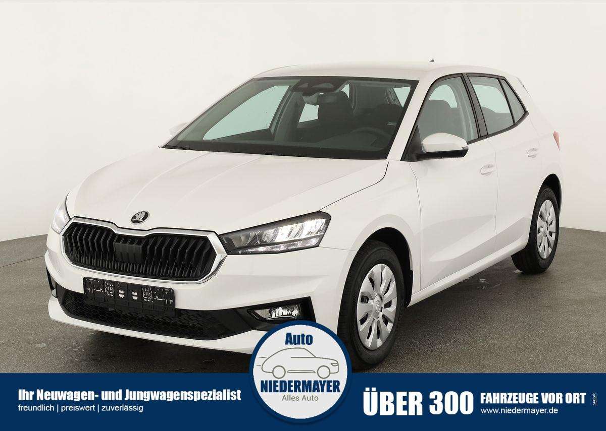 Fahrzeugbild eines Skoda Fabia