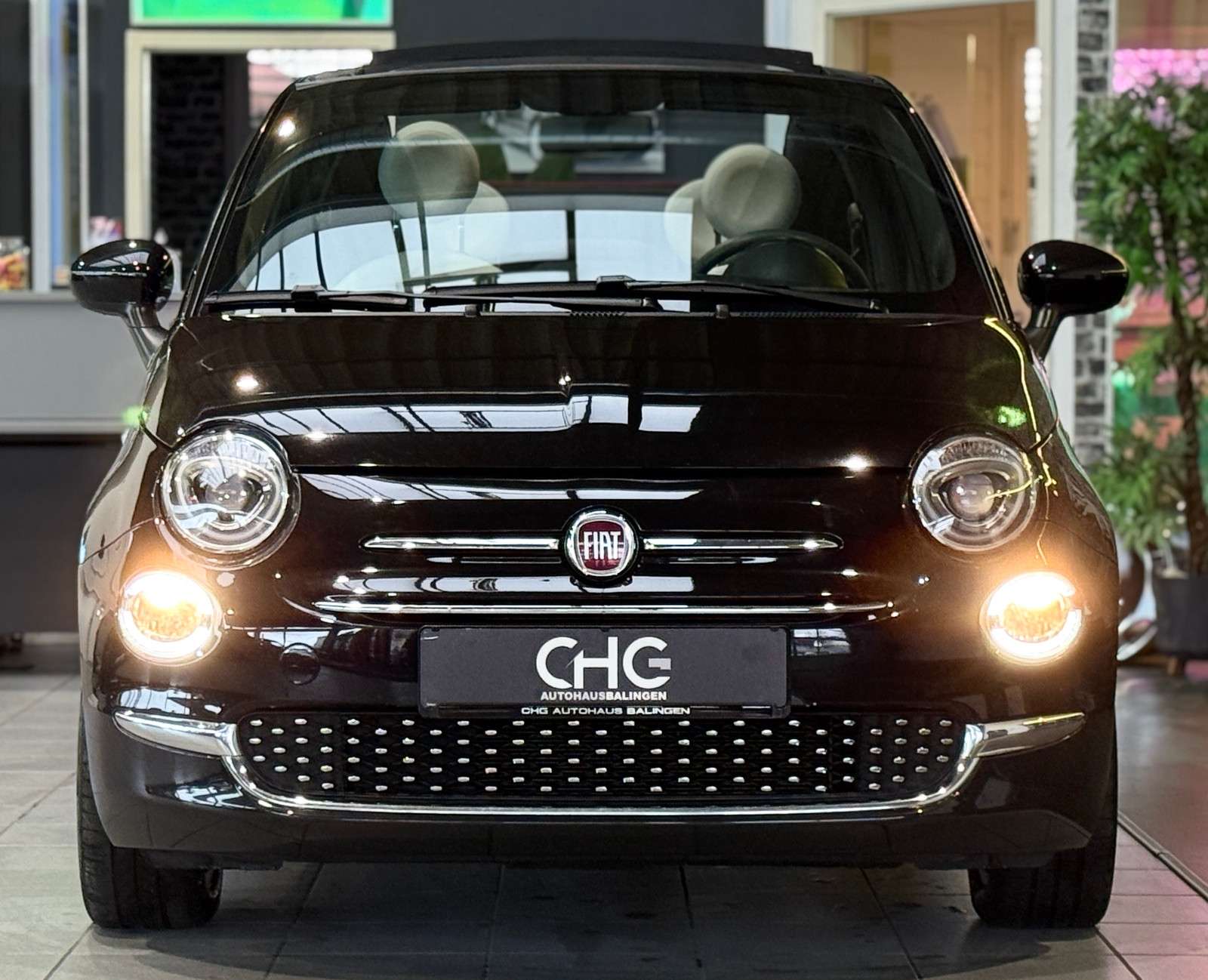 Fahrzeugbild eines Fiat 500