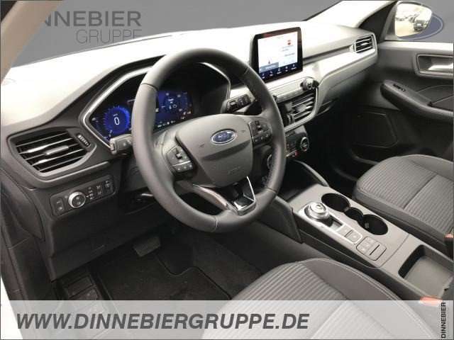 Fahrzeugbild eines Ford Kuga