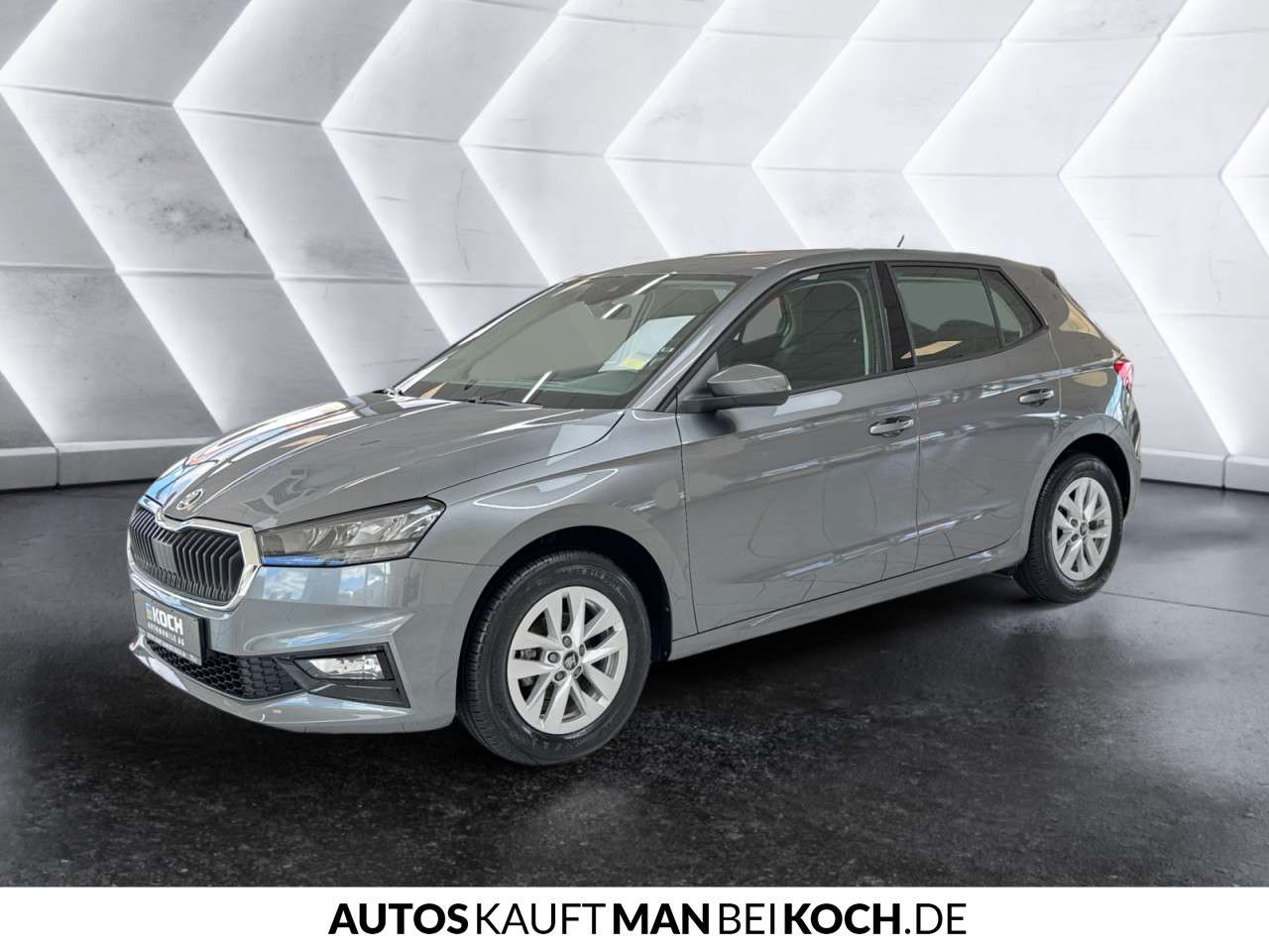 Fahrzeugbild eines Skoda Fabia