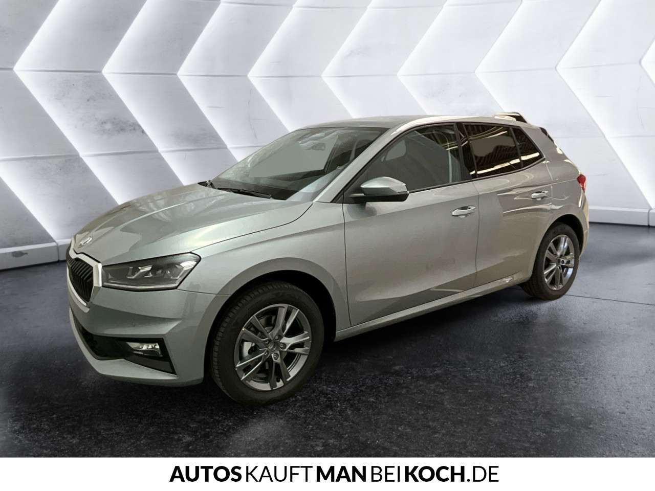 Fahrzeugbild eines Skoda Fabia