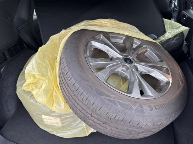 Fahrzeugbild eines Ford Kuga