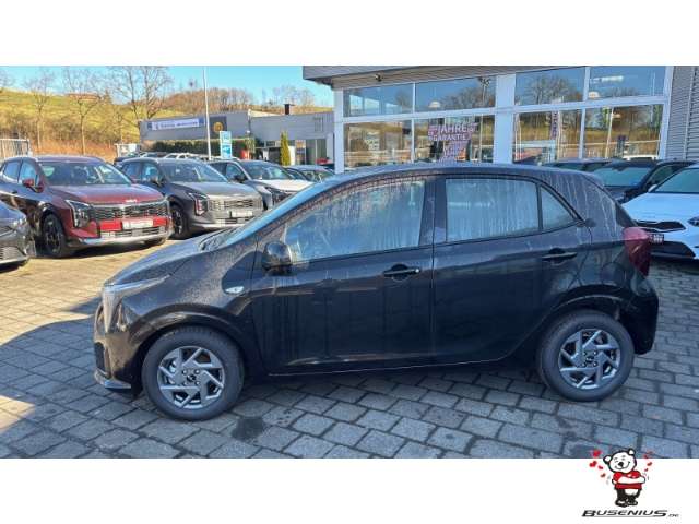 Fahrzeugbild eines Kia Picanto