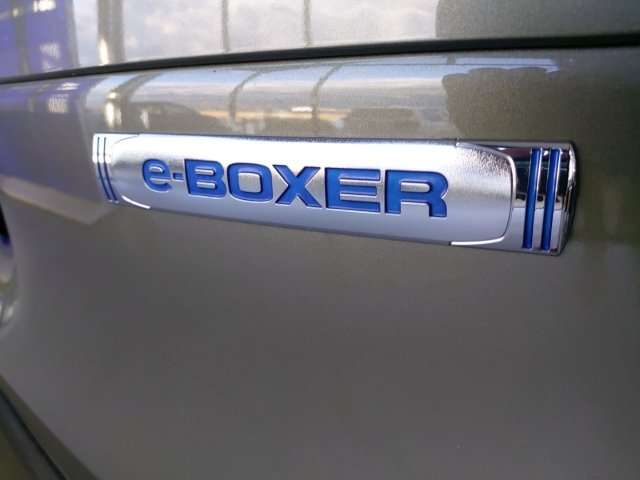 Fahrzeugbild eines Subaru Forester