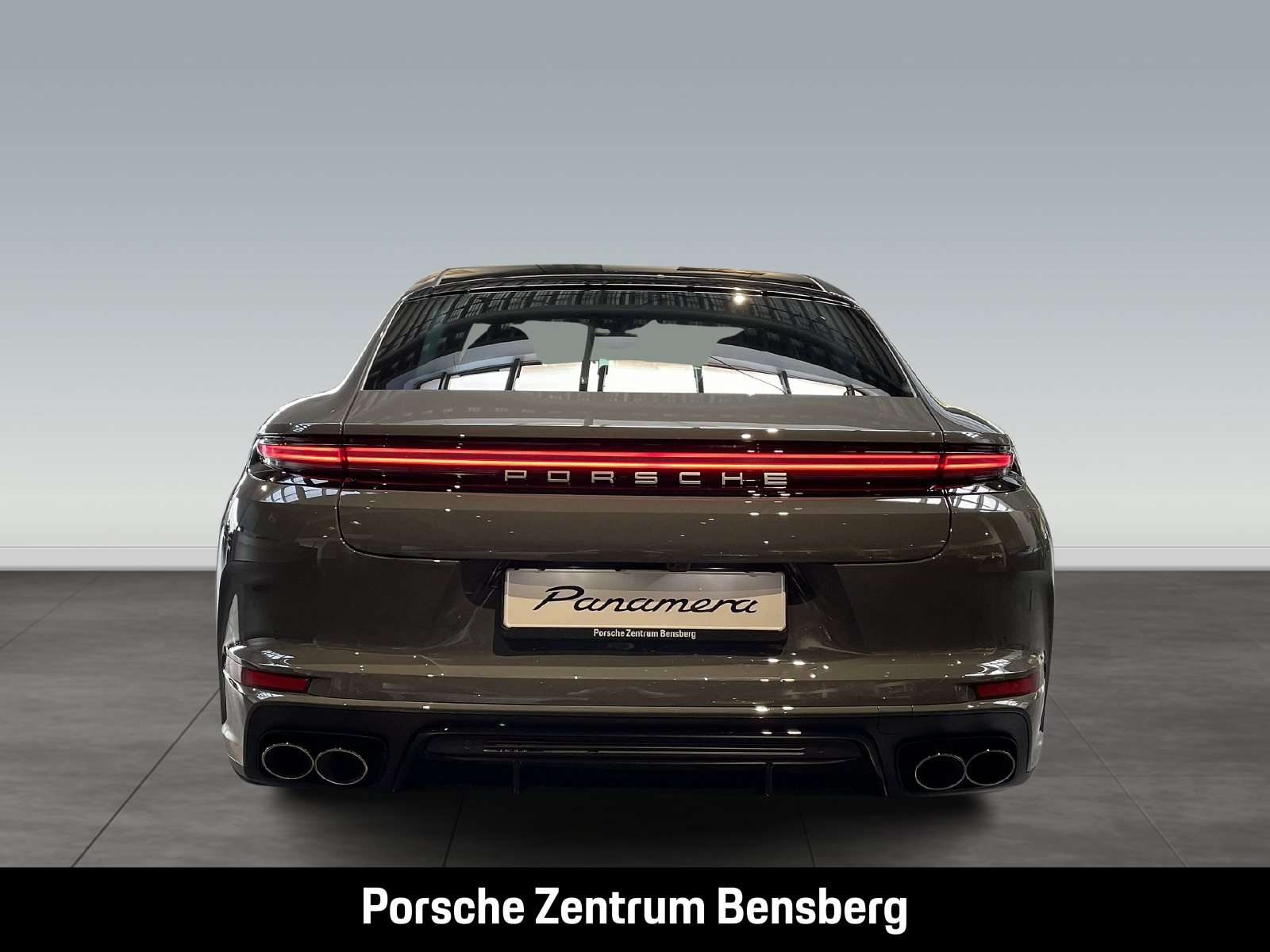 Fahrzeugbild eines Porsche Panamera