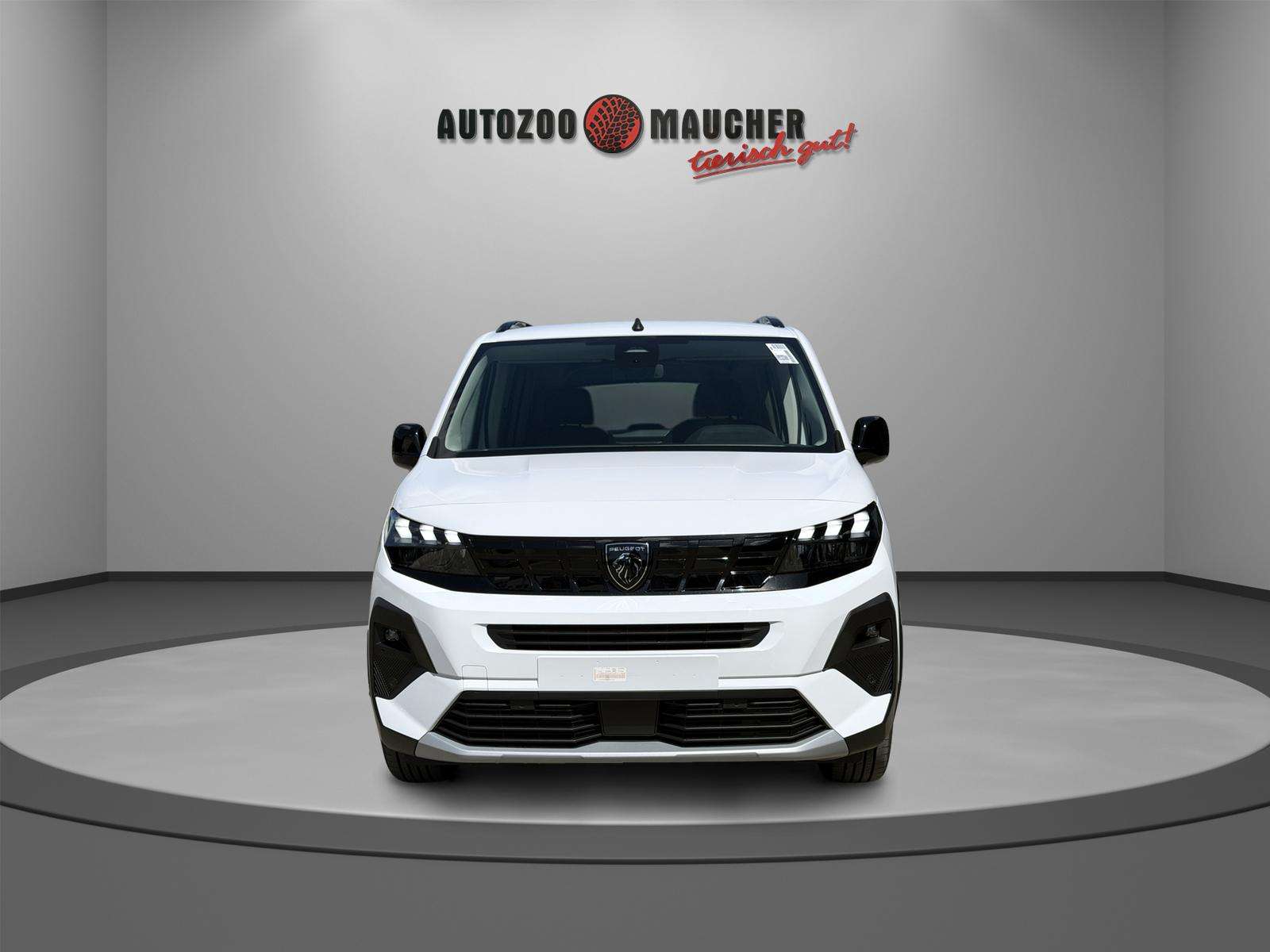 Fahrzeugbild eines Peugeot Rifter