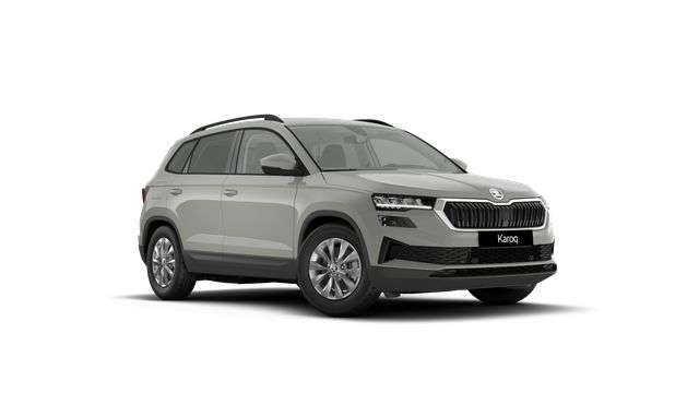 Fahrzeugbild eines Skoda Karoq