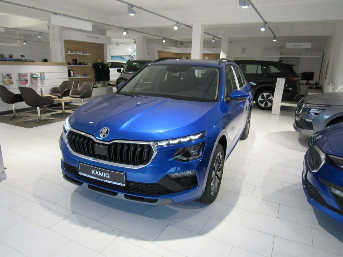 Fahrzeugbild eines Skoda Kamiq