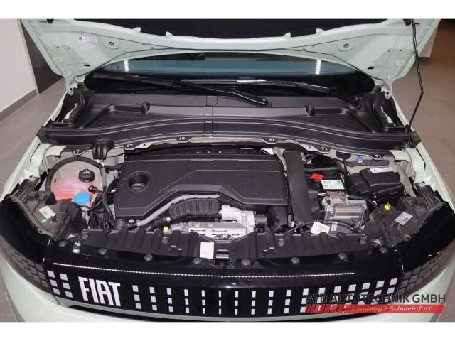 Fahrzeugbild eines Fiat Grande Panda