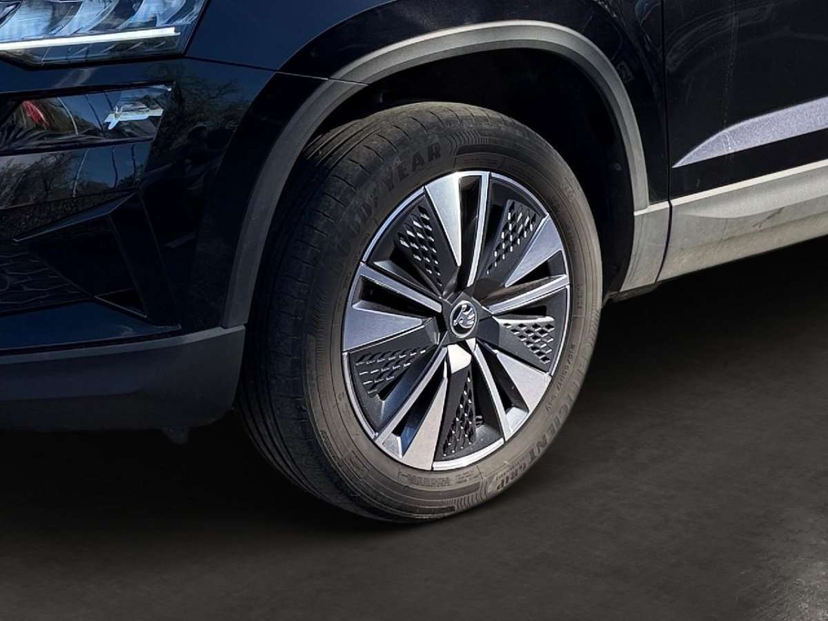 Fahrzeugbild eines Skoda Karoq