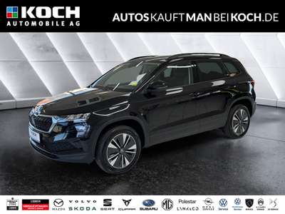 Bild Skoda Karoq