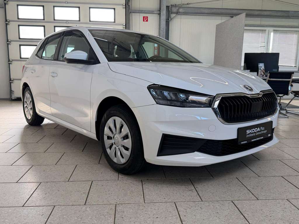 Fahrzeugbild eines Skoda Fabia