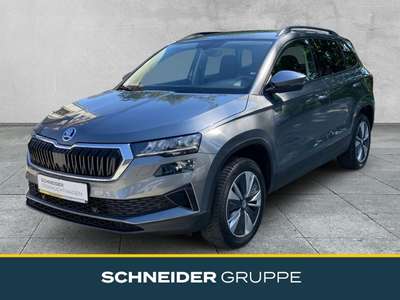 Bild Skoda Karoq