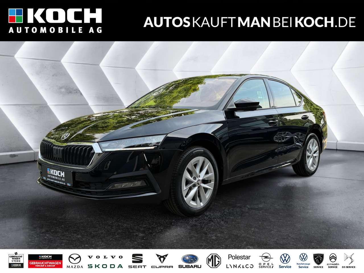 Fahrzeugbild eines Skoda Octavia