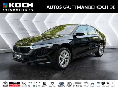 Bild Skoda Octavia