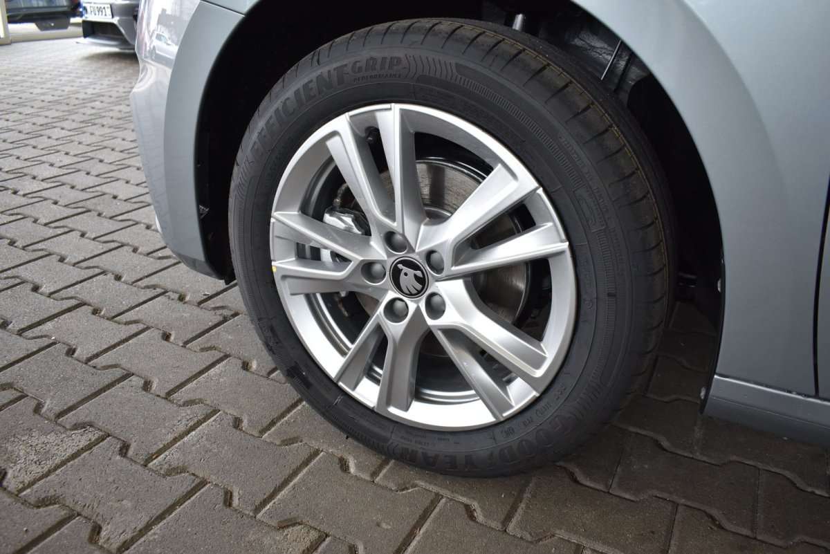 Fahrzeugbild eines Skoda Fabia