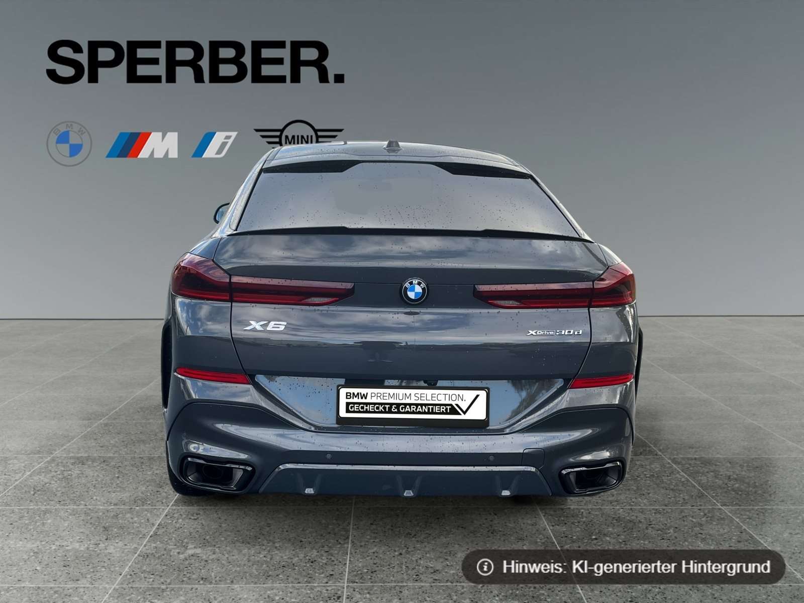 Fahrzeugbild eines BMW X6
