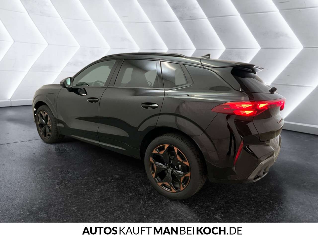 Fahrzeugbild eines CUPRA Terramar