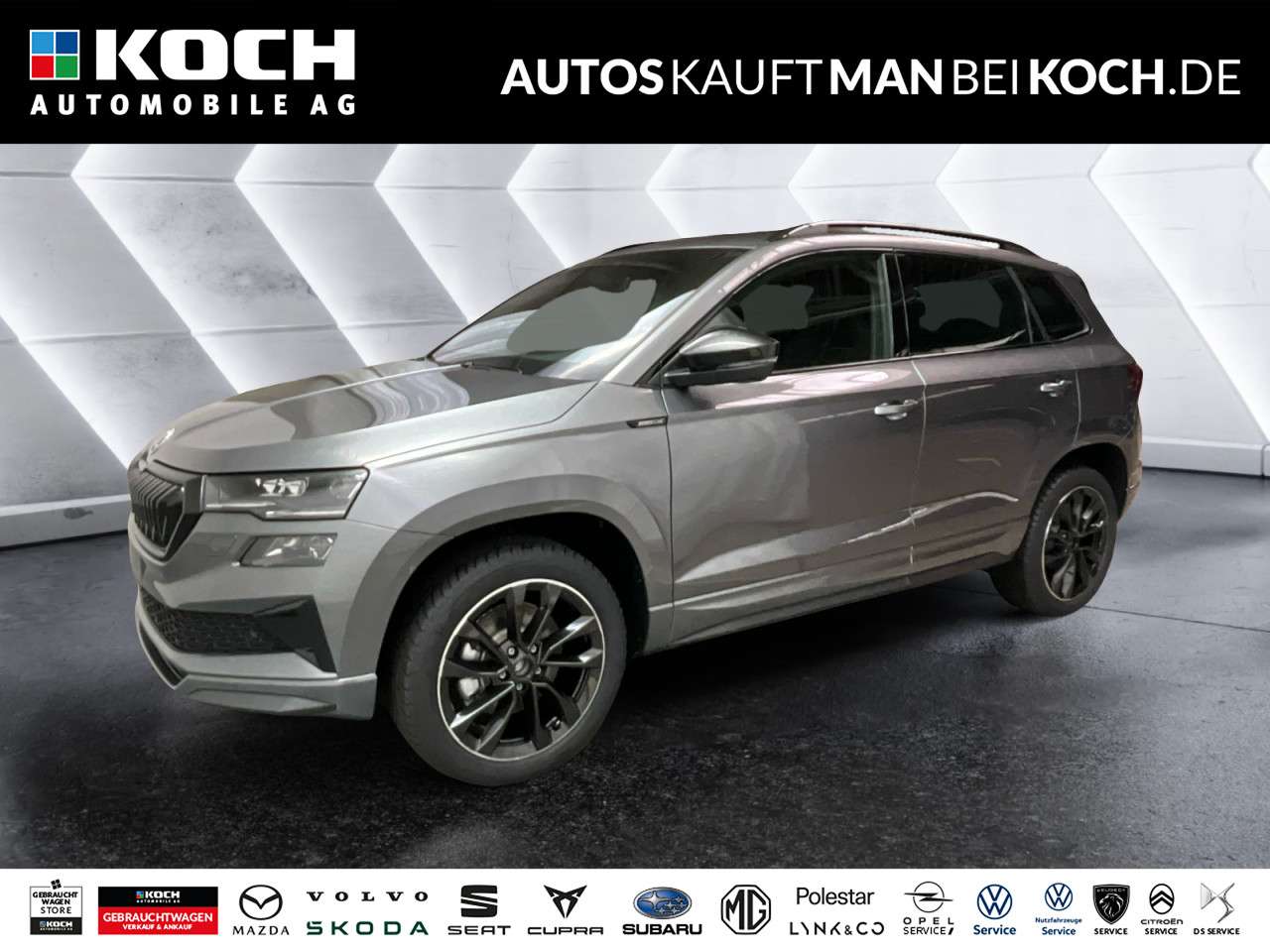 Fahrzeugbild eines Skoda Karoq