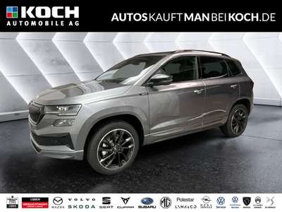 Bild Skoda Karoq