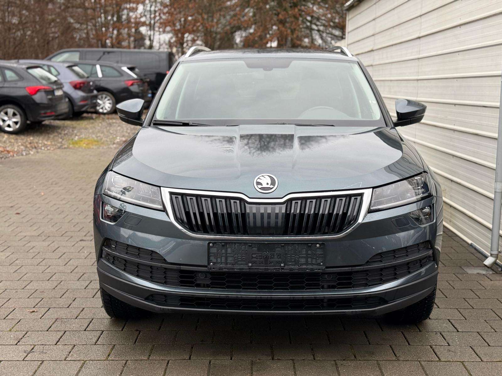 Fahrzeugbild eines Skoda Karoq