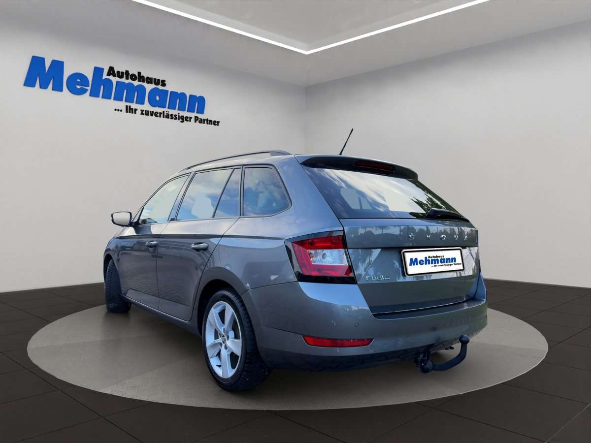 Fahrzeugbild eines Skoda Fabia