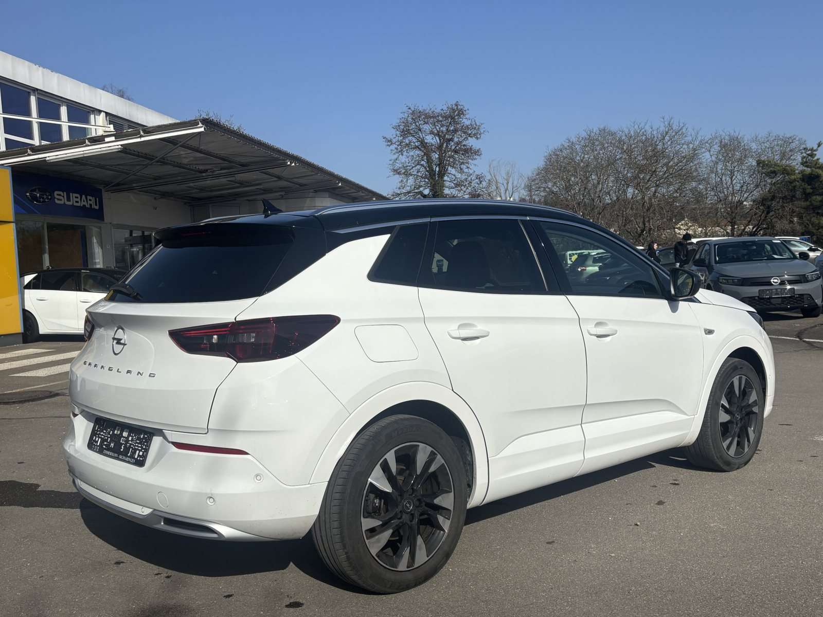 Fahrzeugbild eines Opel Grandland X