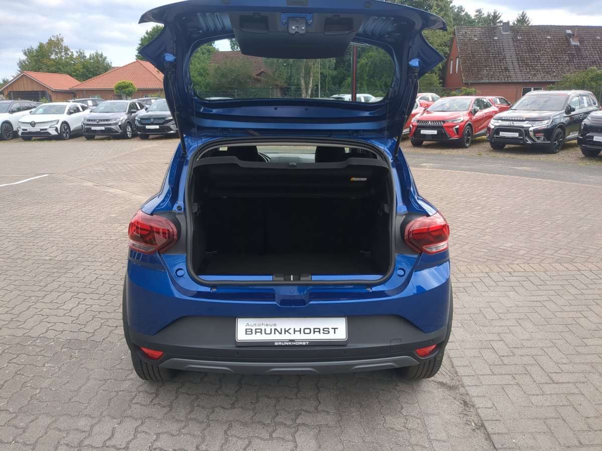 Fahrzeugbild eines Dacia Sandero