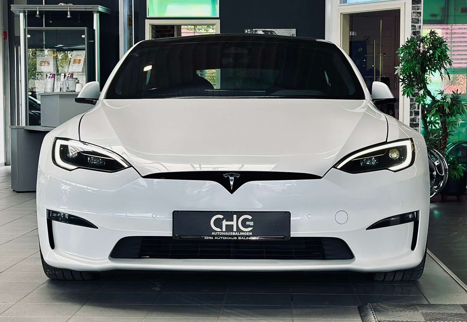 Fahrzeugbild eines TESLA Model S