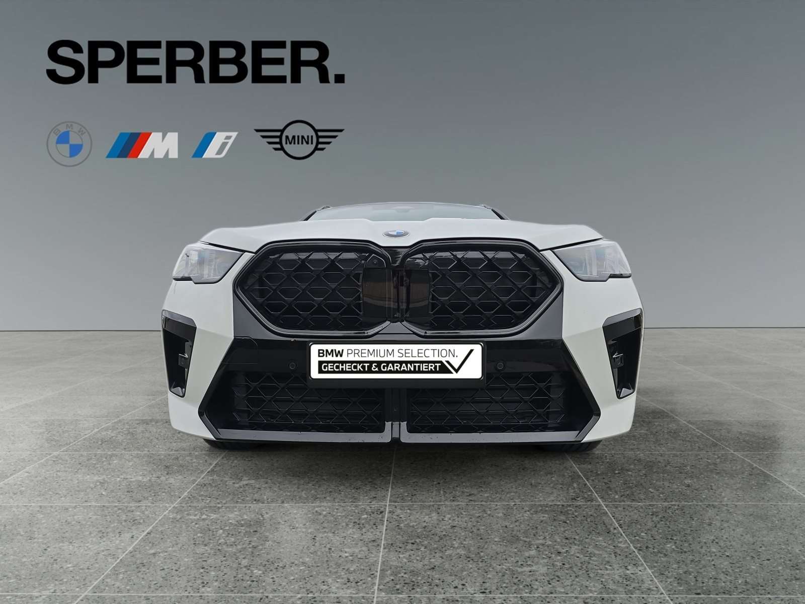 Fahrzeugbild eines BMW X2