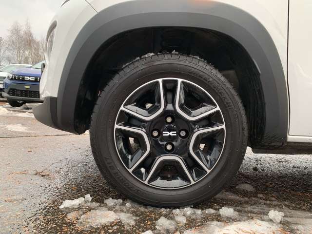 Fahrzeugbild eines Dacia Spring