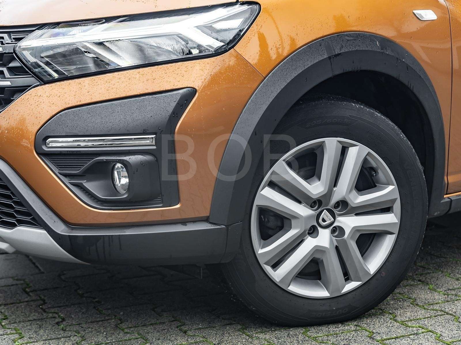 Fahrzeugbild eines Dacia Sandero