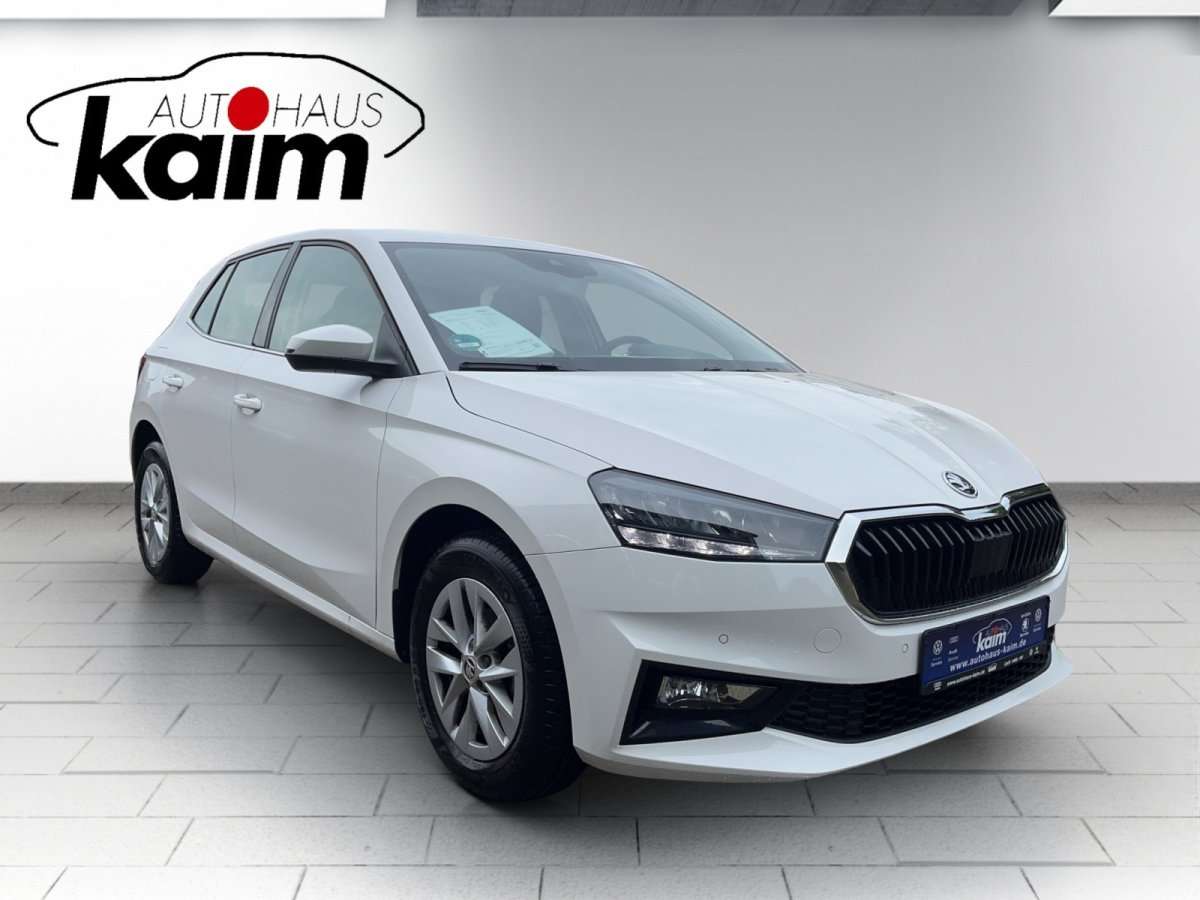 Fahrzeugbild eines Skoda Fabia
