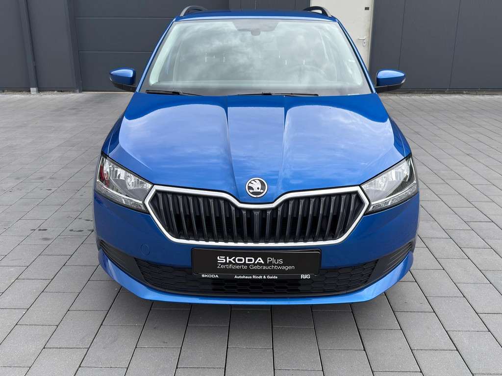 Fahrzeugbild eines Skoda Fabia