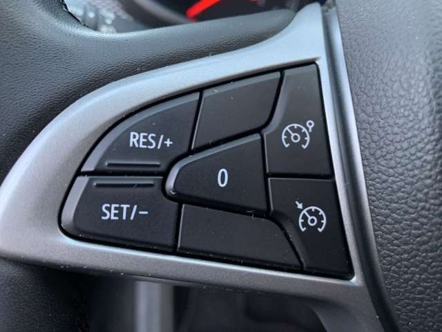 Fahrzeugbild eines Dacia Sandero