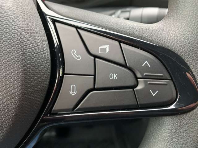Fahrzeugbild eines Renault Master