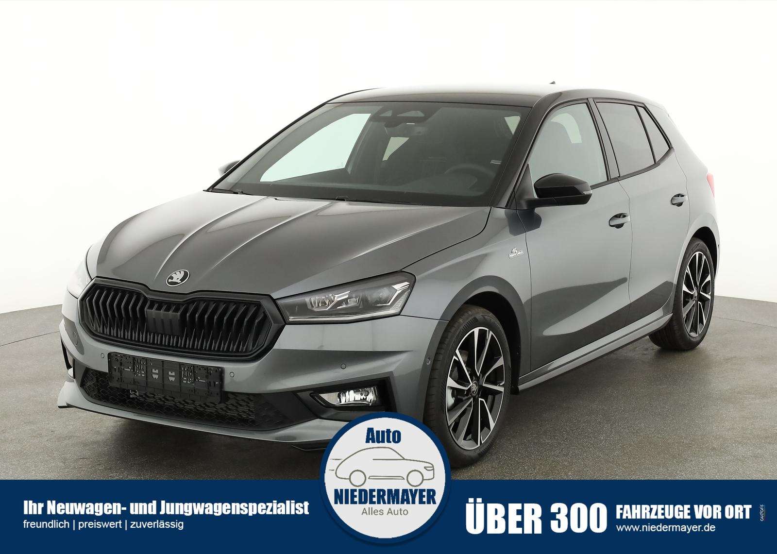 Fahrzeugbild eines Skoda Fabia