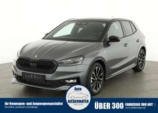 Schräge Frontansicht auf einen Skoda Fabia , freigestellt