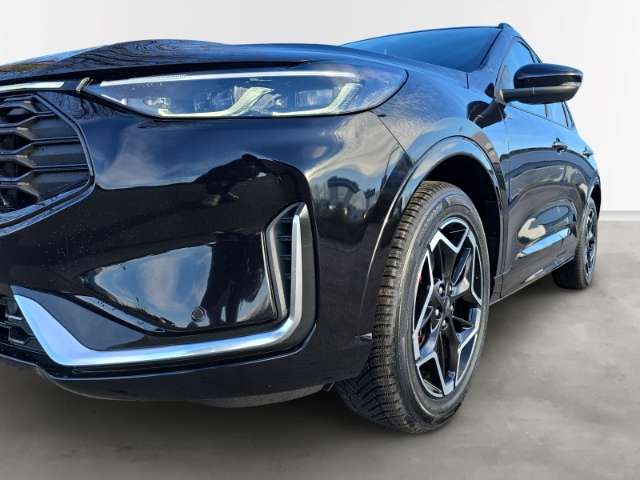 Fahrzeugbild eines Ford Kuga