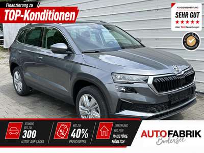 Bild Skoda Karoq