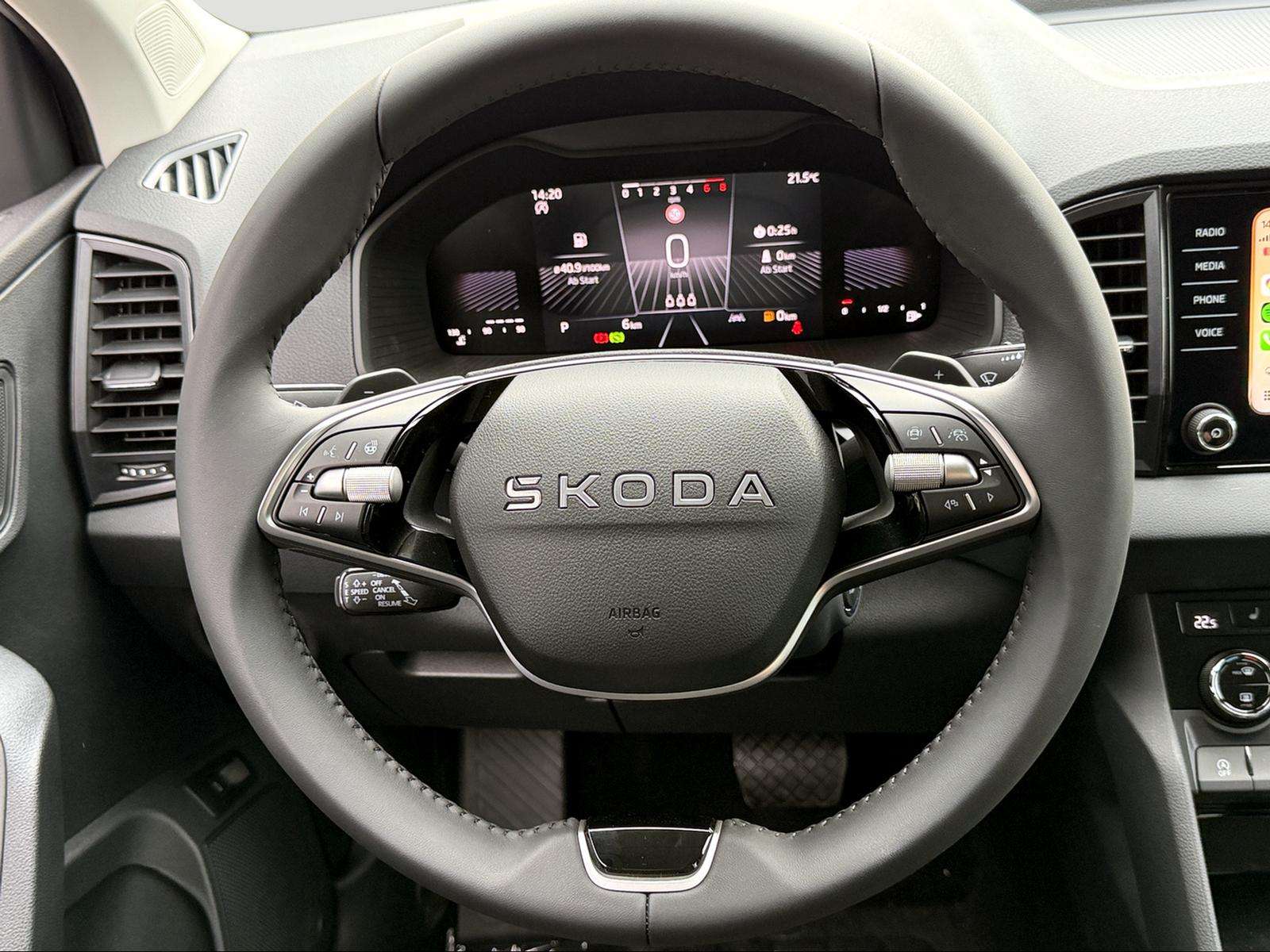 Fahrzeugbild eines Skoda Karoq