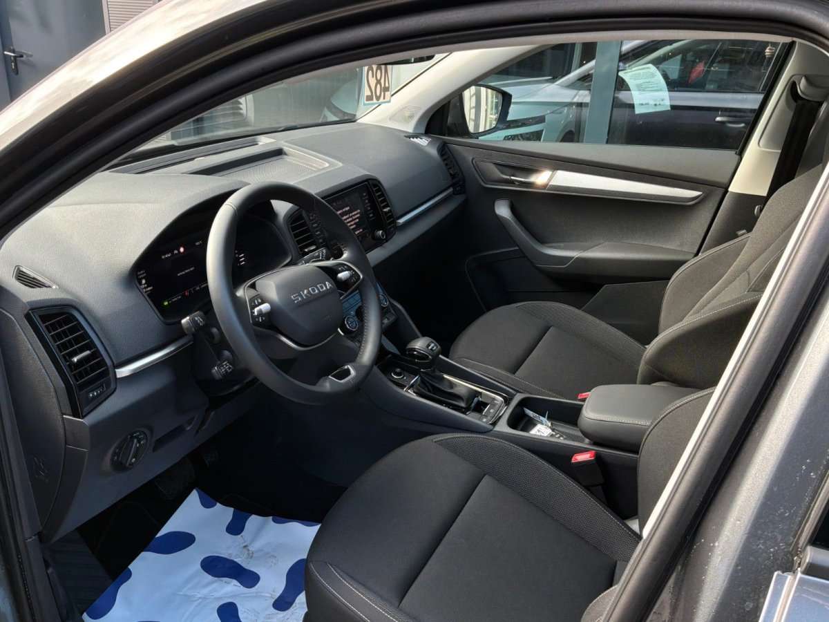 Fahrzeugbild eines Skoda Karoq