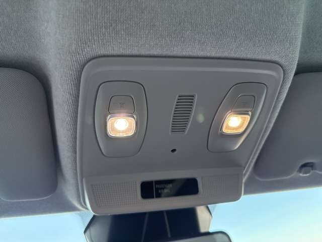 Fahrzeugbild eines Renault ZOE