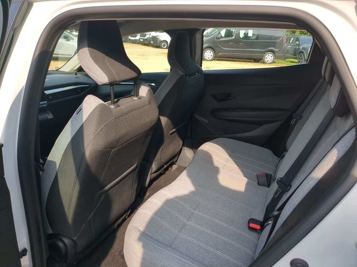 Fahrzeugbild eines Renault Mégane