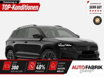 Bild Skoda Karoq