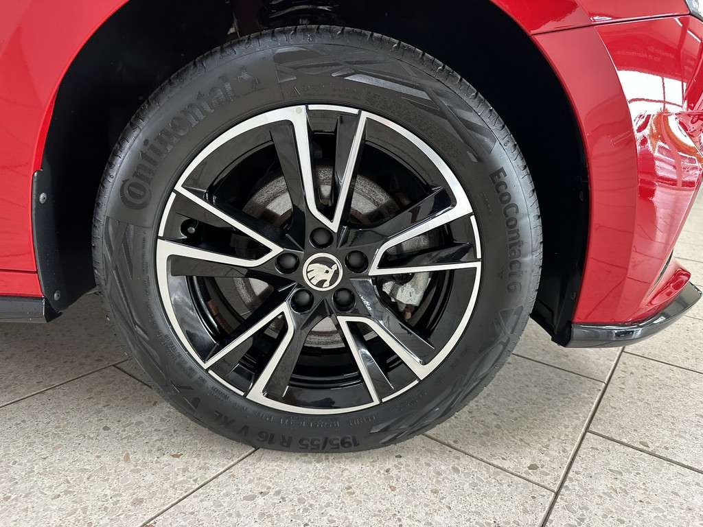 Fahrzeugbild eines Skoda Fabia