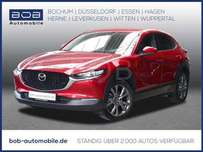 Bild Mazda CX-30