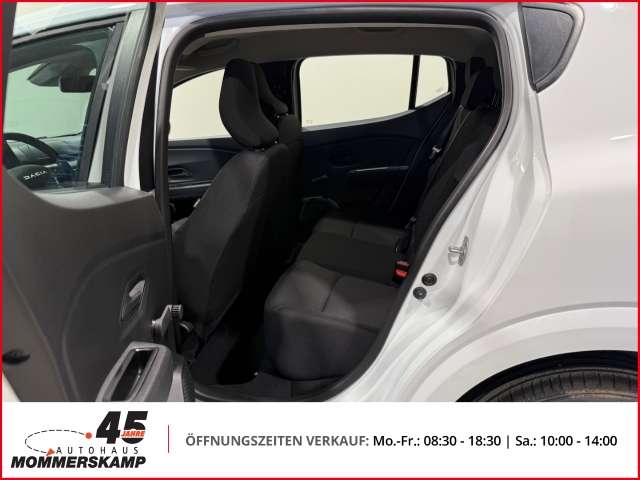 Fahrzeugbild eines Dacia Sandero