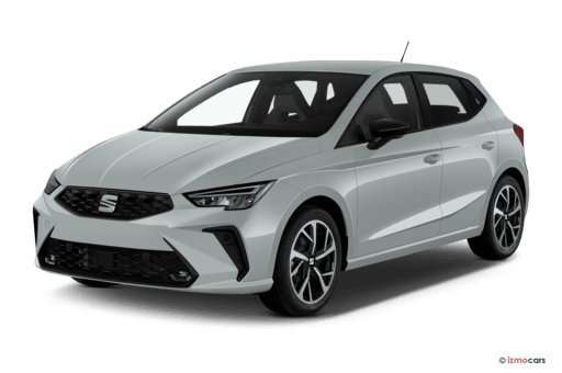 Fahrzeugbild eines SEAT Ibiza